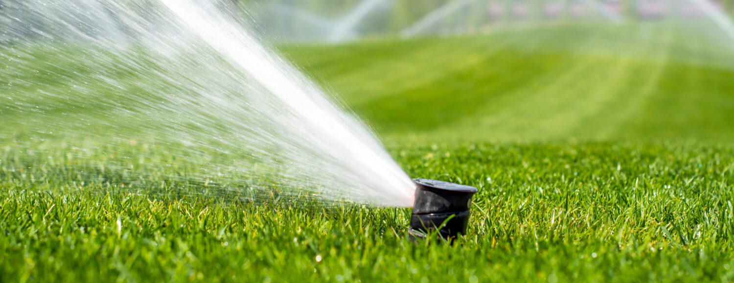 irrigation system sprinkler head spraying water