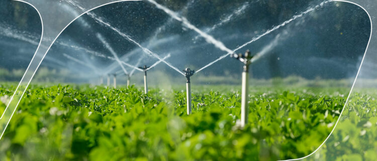 The Role of Submersible Well Pumps in Sustainable Agriculture image