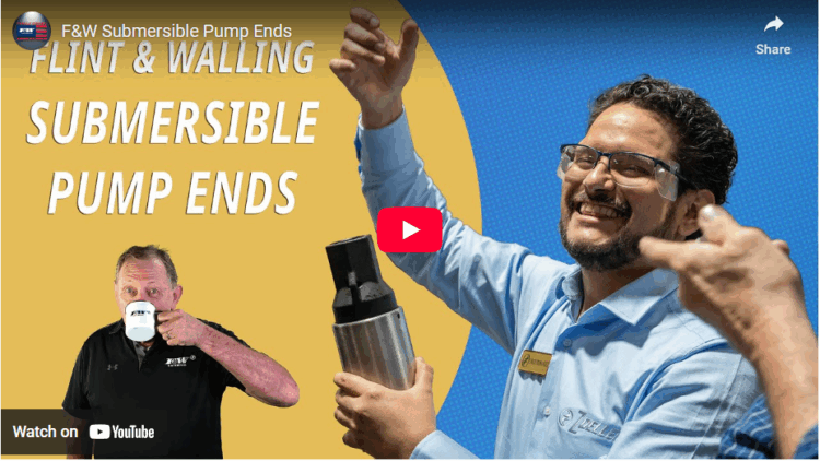 Inside the Submersible Pump End: What Makes Flint & Walling Different? image